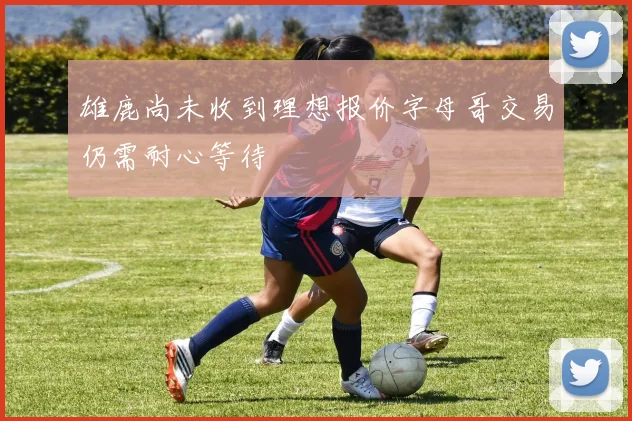 雄鹿尚未收到理想报价字母哥交易仍需耐心等待